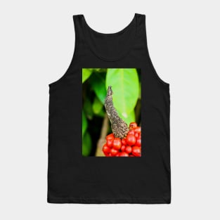 Red peppercorn with bird beak Tank Top